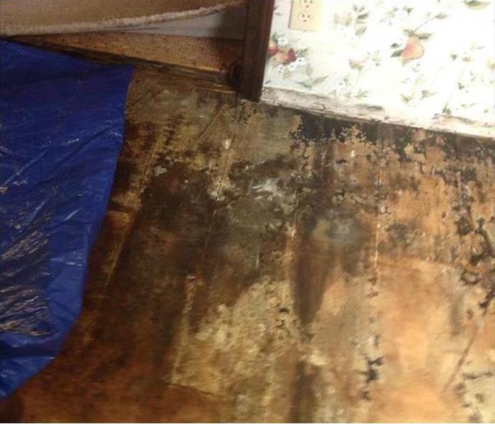 Closeup of Water Damaged wall and Removed hardwood flooring